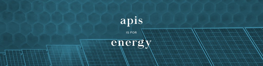 Who We Are | Apis Energy Group Apis Energy Group